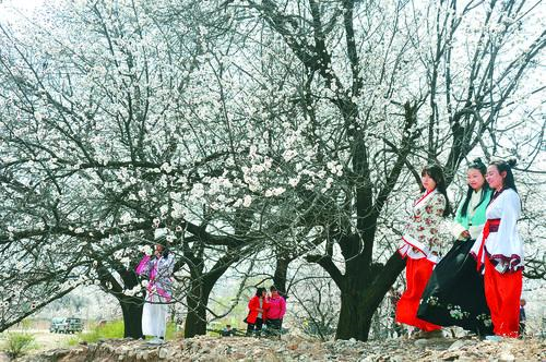 2026中超直播免费观看 赛事画面